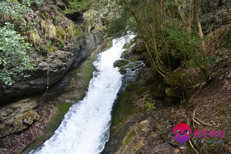 el bullidor de la llet|Els Empedrats i el Bullidor de la Llet Trail